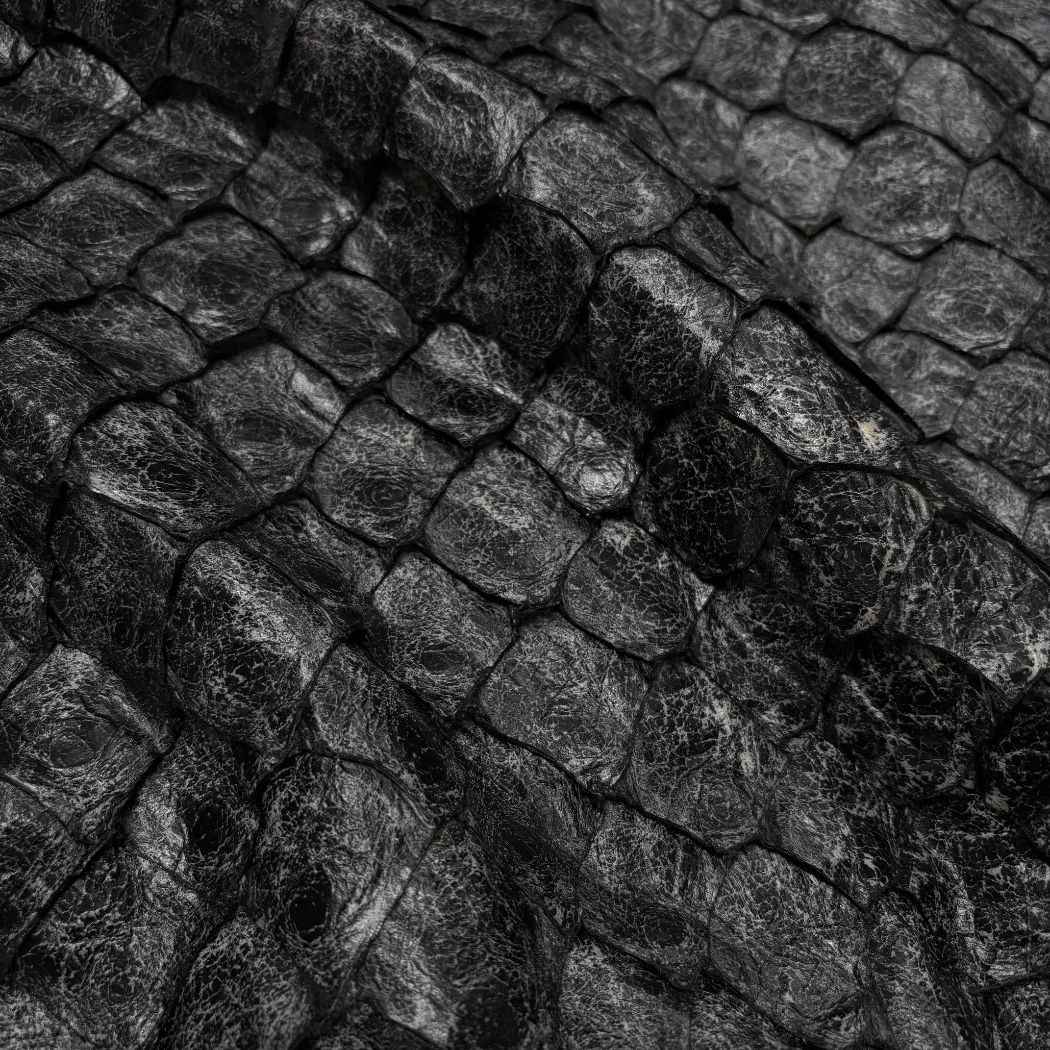 Pirarucu Fish | Weathered Finish